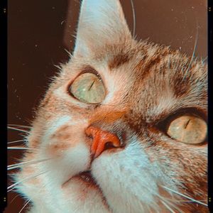 Meet your Posher, Kristina